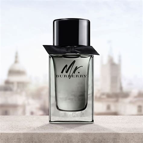 mr burberry eau de toilette amazon|perfume mr Burberry original.